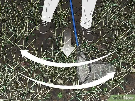 Поймай божьих коровок, шаг 5