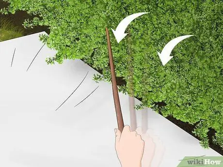 Поймать божьих коровок Шаг 9