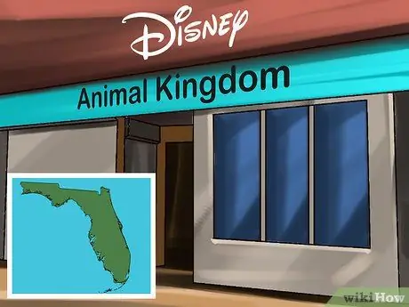 Выберите место отдыха для любителей животных Шаг 1