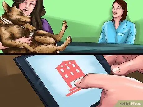 Выберите место отдыха для любителей животных Шаг 10