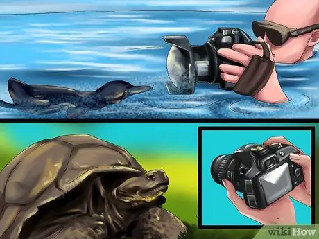 Выберите место отдыха для любителей животных Шаг 11