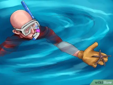 Выберите место отдыха для любителей животных Шаг 12