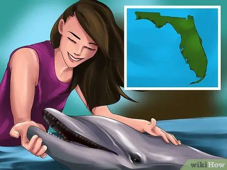 Выберите место отдыха для любителей животных Шаг 14