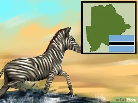 Выберите место отдыха для любителей животных Шаг 3