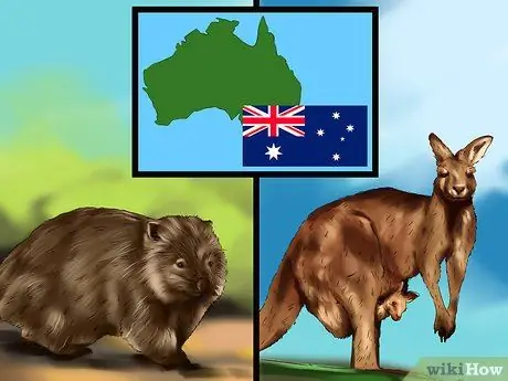 Выберите место отдыха для любителей животных Шаг 4