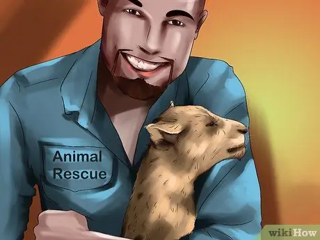 Выберите место отдыха для любителей животных Шаг 5