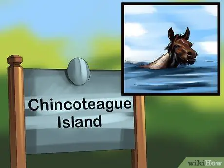 Выберите место отдыха для любителей животных Шаг 8