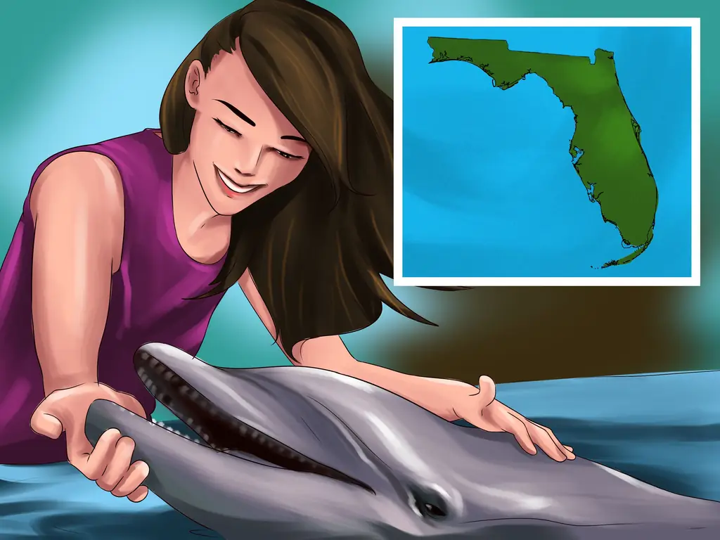 3 способа выбрать место отдыха для любителей животных