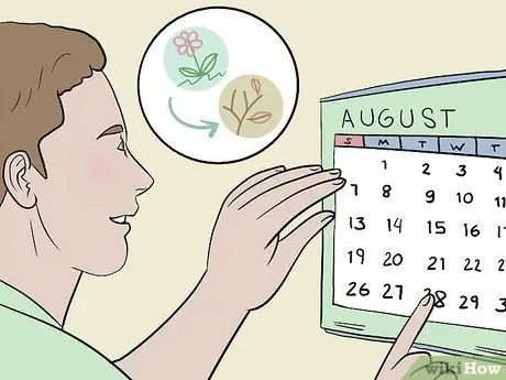 Лагерь Шаг 4