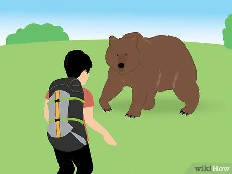 Отправляйтесь в поход, шаг 17