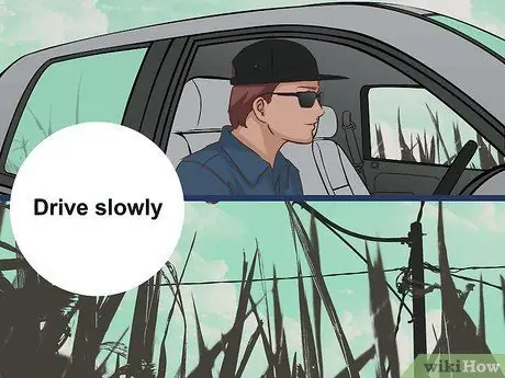 Поездка по Ирландии Шаг 16