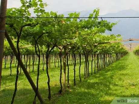 Путешествие по югу Франции Шаг 9