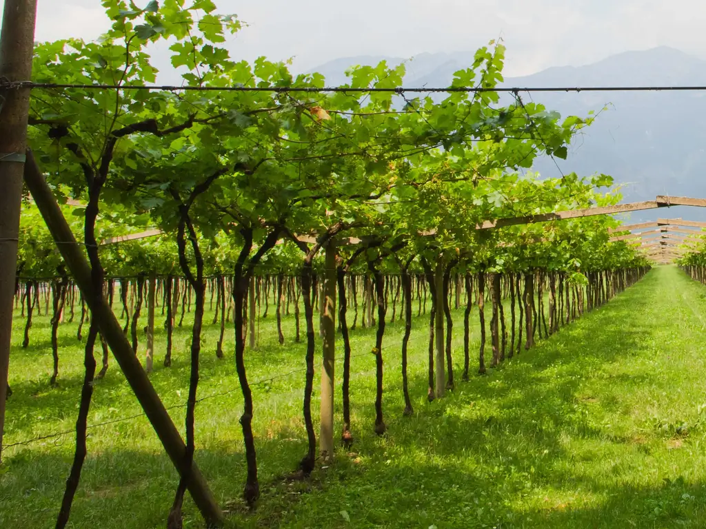 Как путешествовать по югу Франции: 9 шагов (с иллюстрациями)