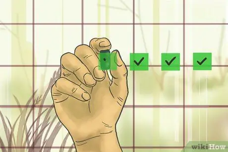 Получите визу TN для работы в США Шаг 3