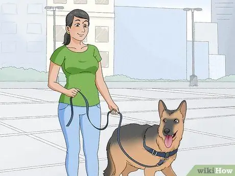 Сделай мир лучше как христианская молодежь Шаг 11