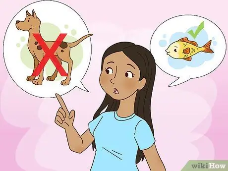 Убедите родителей позволить вам делать что угодно Шаг 17