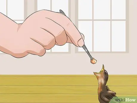 Покормить птенца Шаг 11