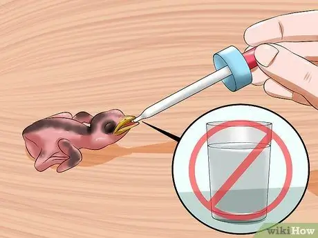 Покормить птенца Шаг 12