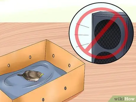 Покормить птенца Шаг 15