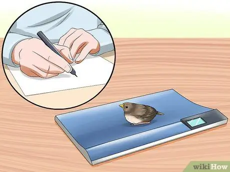 Покормить птенца Шаг 16