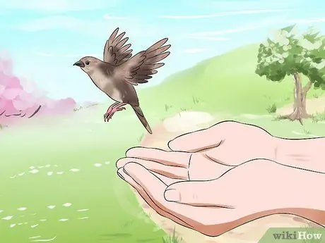Покормить птенца Шаг 17
