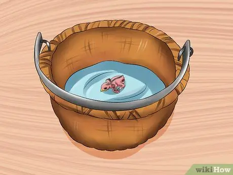 Покормите птенца, шаг 4