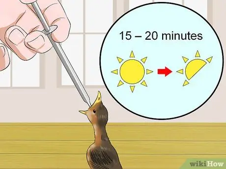 Покормить птенца Шаг 6