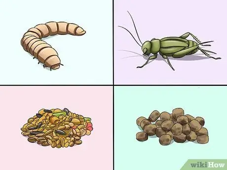 Покормить птенца Шаг 7