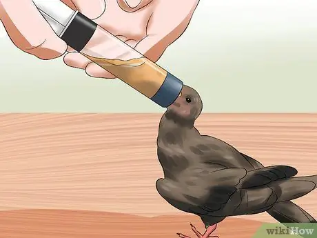 Покормить птенца Шаг 9