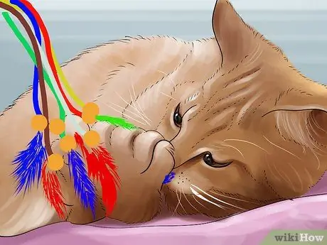 Заставьте кошку перестать прыгать на клавиатуре Шаг 12