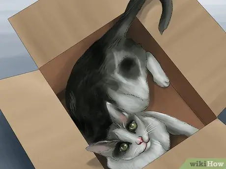 Заставьте кошку перестать прыгать на клавиатуре Шаг 14