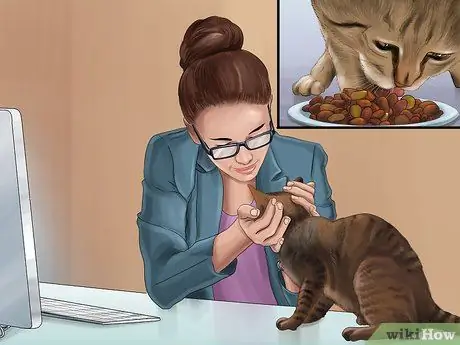 Заставьте кошку перестать прыгать на клавиатуре Шаг 15