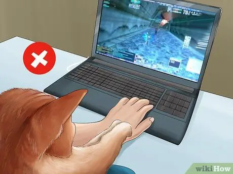 Заставьте кошку перестать прыгать на клавиатуре Шаг 8