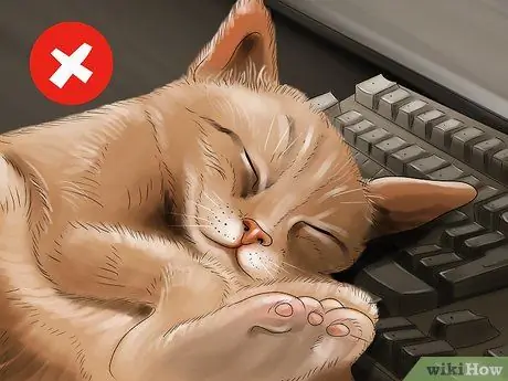 Заставьте кошку перестать прыгать на клавиатуре Шаг 9