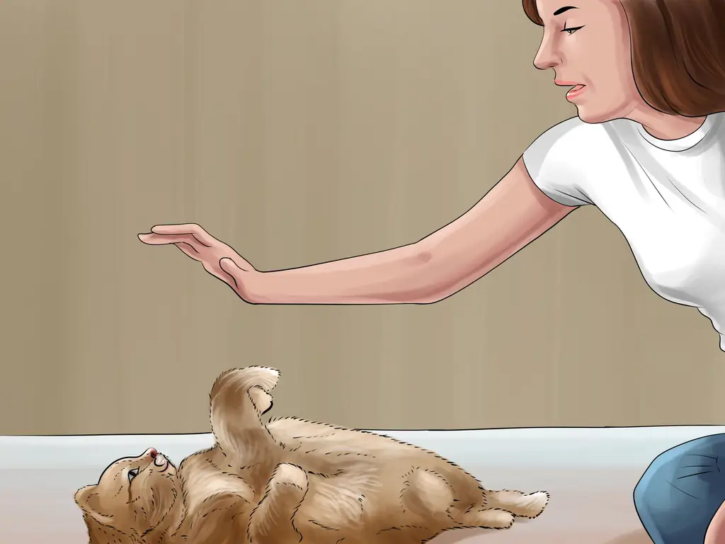 4 способа заставить вашу кошку перестать прыгать на клавиатуре