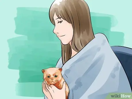 Прижаться Шаг 11