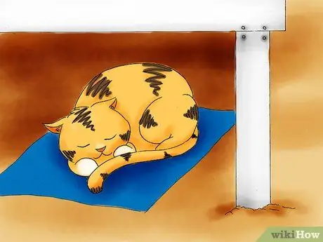 Иметь долгосрочные отношения Шаг 07