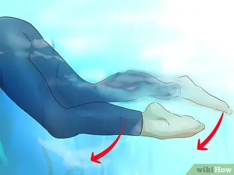 Весло для собак, шаг 6