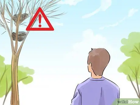 Берегитесь нападающих австралийских сорок, шаг 1