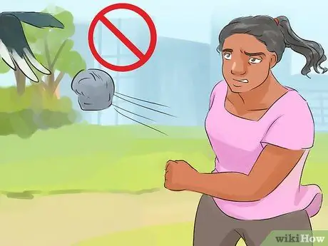 Берегитесь нападающих австралийских сорок Шаг 10