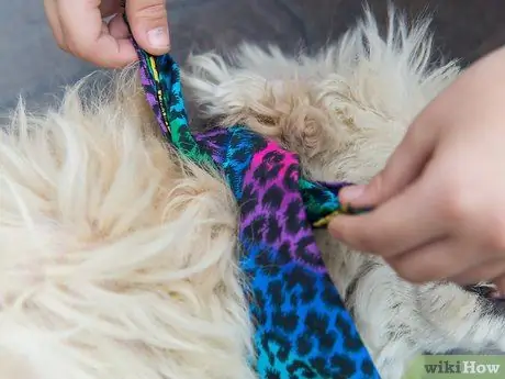 Привяжите бандану к собаке Шаг 7