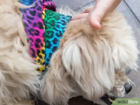 Привяжите бандану к собаке Шаг 8