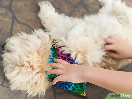 Привяжите бандану к собаке Шаг 9