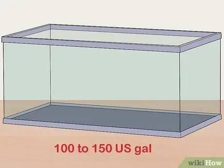 Держите окуня и других американских диких рыб в домашнем аквариуме Шаг 1