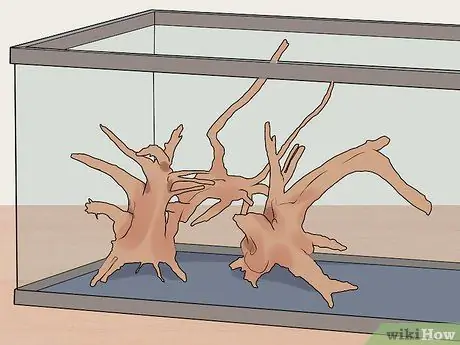 Держите окуня и других американских диких рыб в домашнем аквариуме Шаг 2