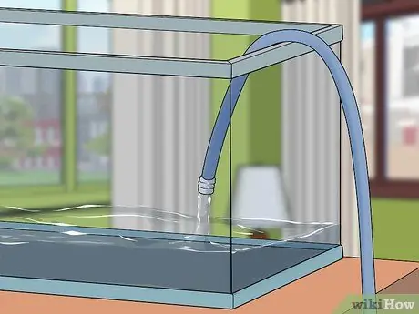 Держите окуня и других американских диких рыб в домашнем аквариуме Шаг 6