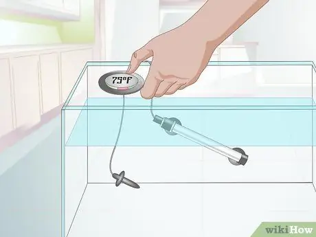 Уход за золотой рыбкой-вьющимся хвостом Шаг 2