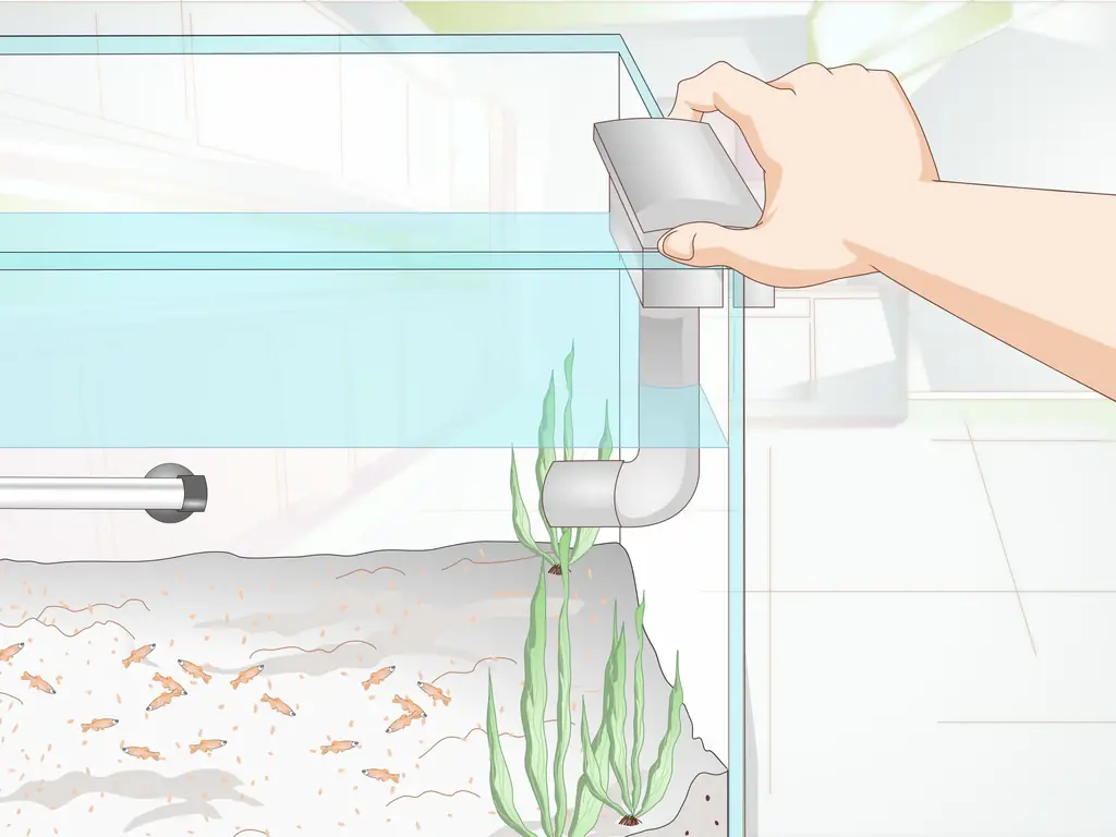 Как разводить золотую рыбку: 14 шагов (с иллюстрациями)