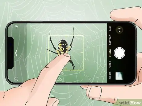 Определите пауков Шаг 10