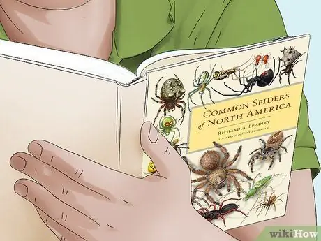 Определение пауков Шаг 14